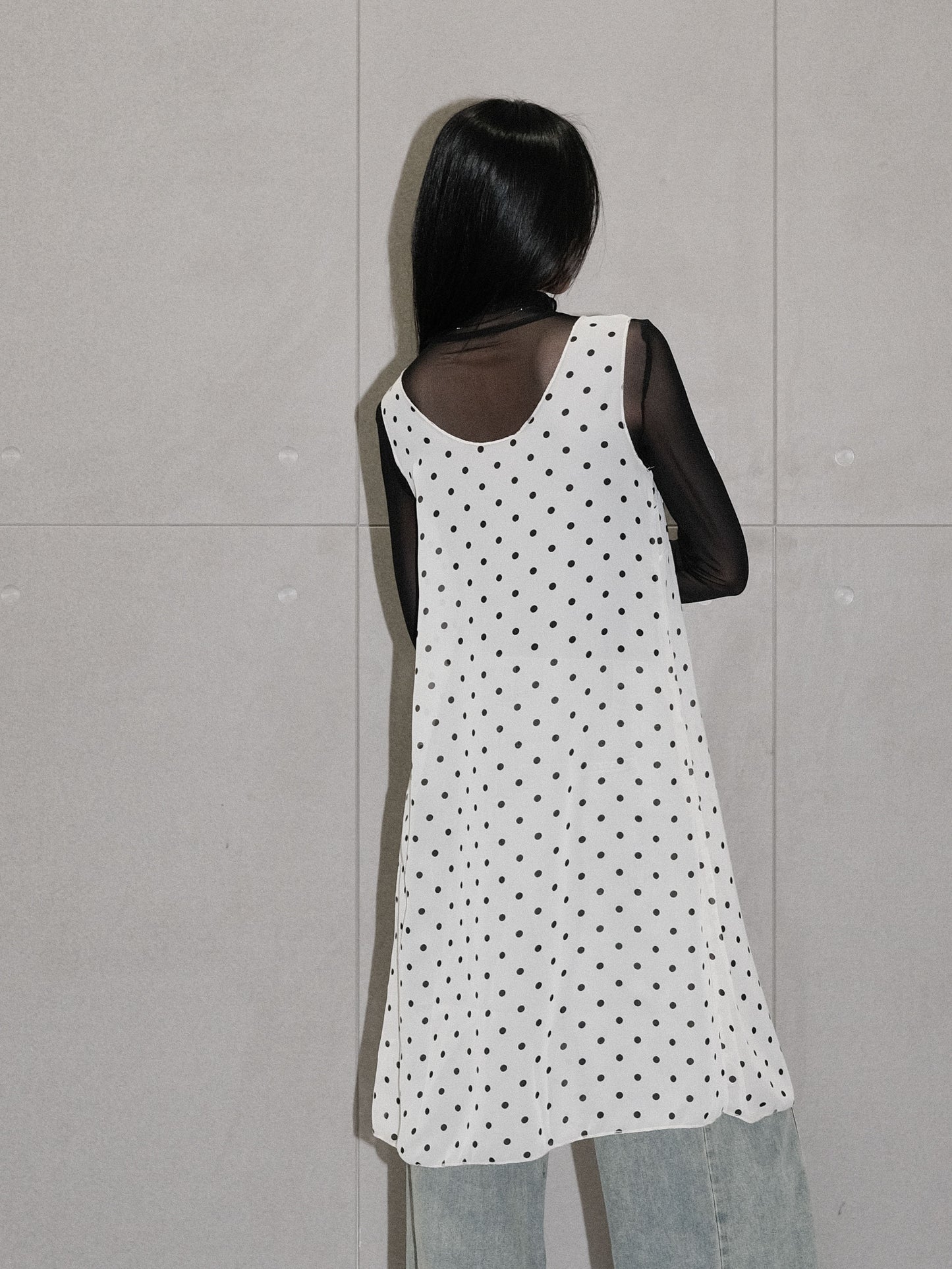 Dotted Chiffon Dress