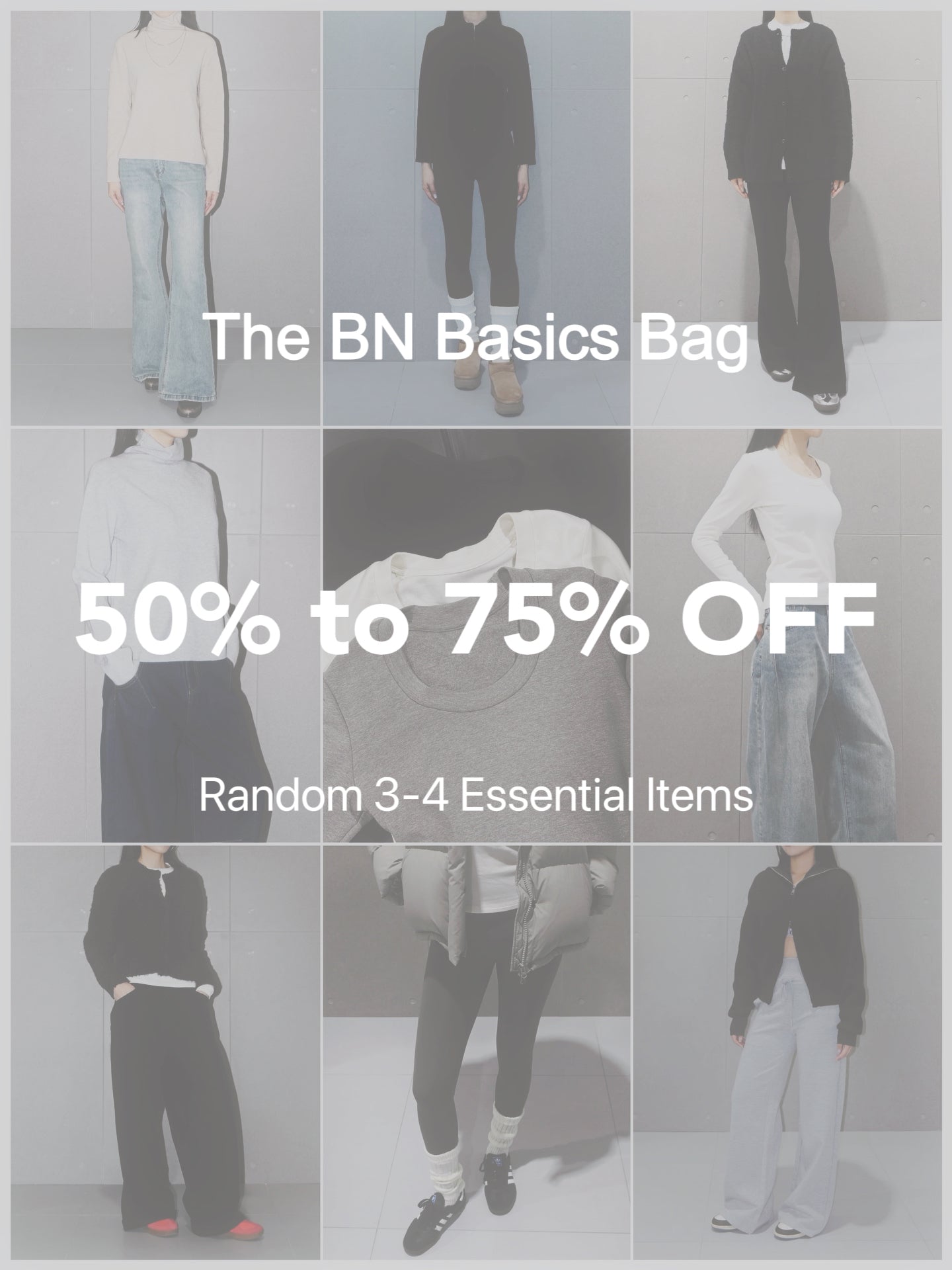 The BN Basics Bag