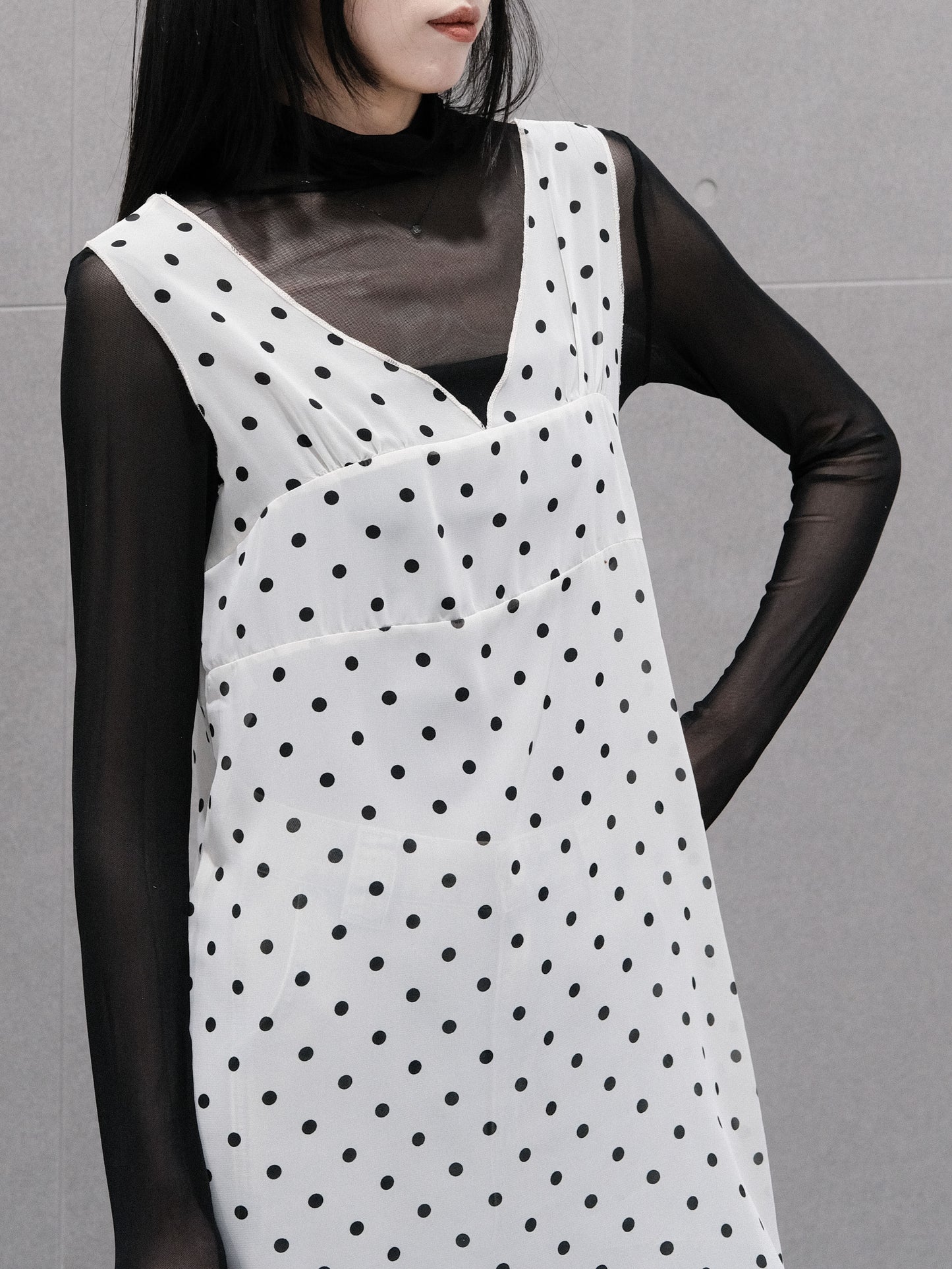 Dotted Chiffon Dress